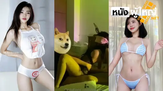 แจกคลิปโป๊ เลียหี เย็ดหี
